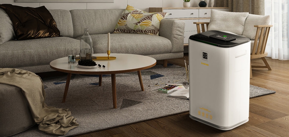 23412123131.jpg 23412123131.jpg