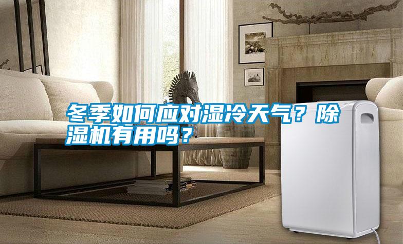 冬季如何應對濕冷天氣？除濕機有用嗎？