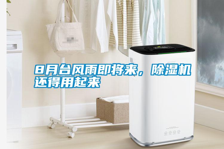 8月臺(tái)風(fēng)雨即將來,除濕機(jī)還得用起來