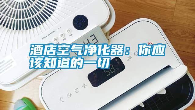 酒店空氣凈化器:你應該知道的一切