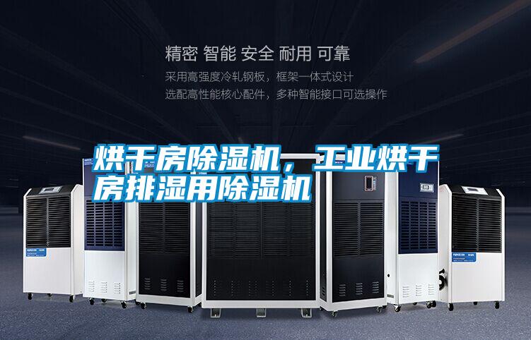 烘干房除濕機，工業烘干房排濕用除濕機