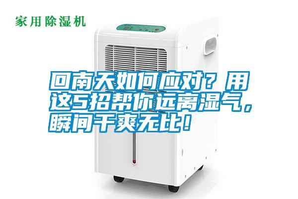 回南天如何應(yīng)對(duì)？用這5招幫你遠(yuǎn)離濕氣，瞬間干爽無(wú)比！