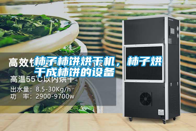 柿子柿餅烘干機(jī)，柿子烘干成柿餅的設(shè)備