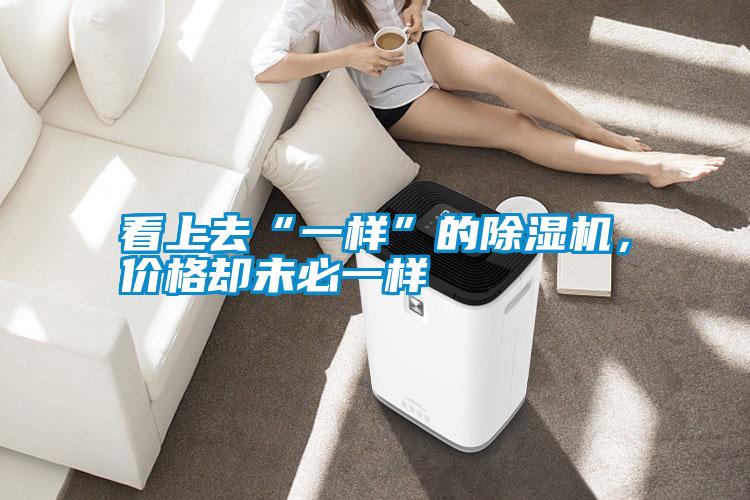 看上去“一樣”的除濕機(jī)，價(jià)格卻未必一樣