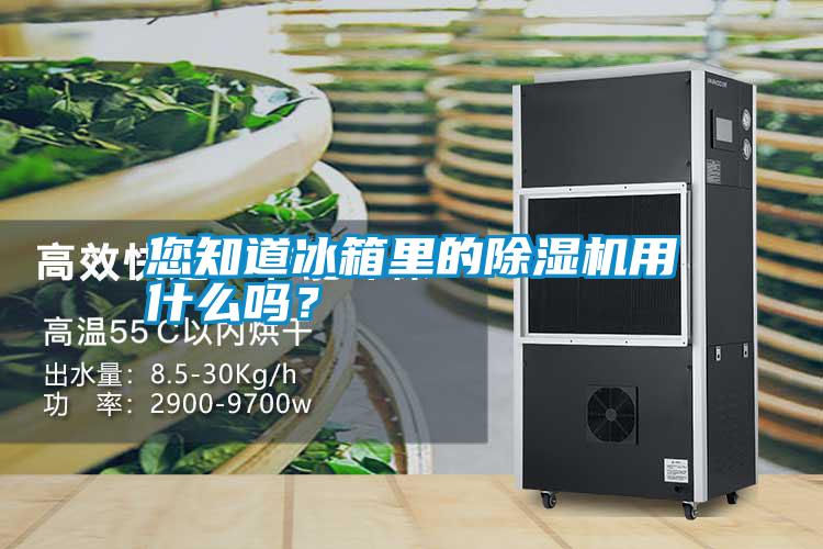 您知道冰箱里的除濕機用什么嗎?
