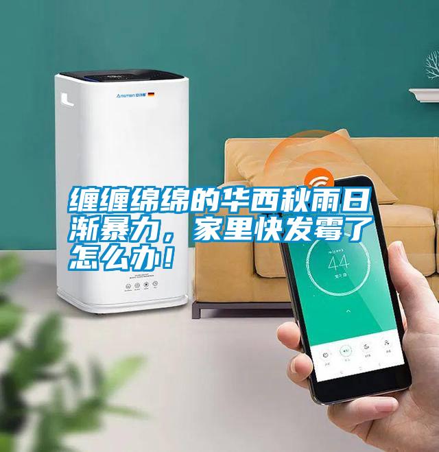 纏纏綿綿的華西秋雨日漸暴力,家里快發(fā)霉了怎么辦!