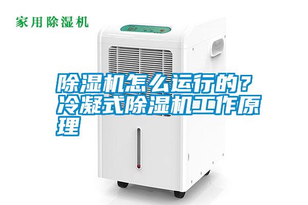 除濕機(jī)怎么運(yùn)行的?冷凝式除濕機(jī)工作原理
