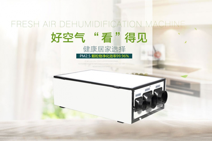 家用除濕機減少夏季悶熱，防止疾病