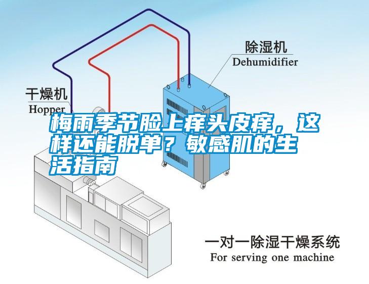 梅雨季節臉上癢頭皮癢，這樣還能脫單？敏感肌的生活指南