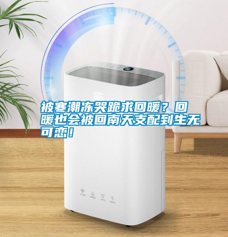 被寒潮凍哭跪求回暖？回暖也會被回南天支配到生無可戀！