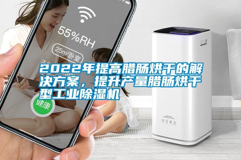 2022年提高臘腸烘干的解決方案,提升產(chǎn)量臘腸烘干型工業(yè)除濕機