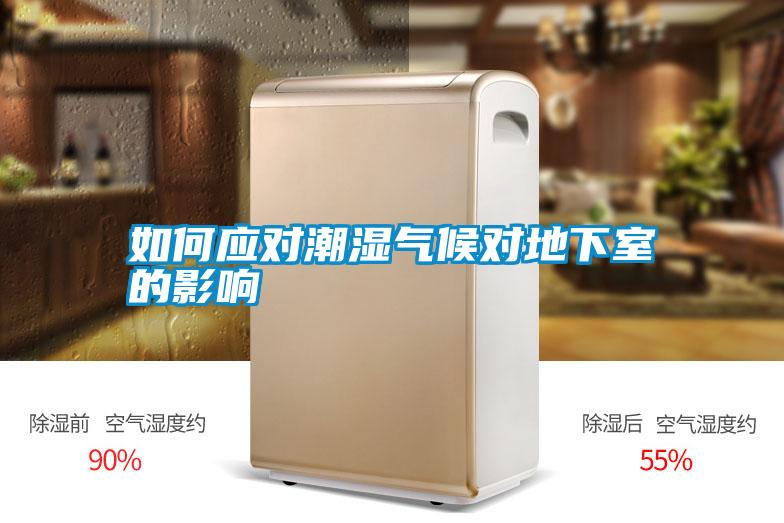 如何應(yīng)對潮濕氣候?qū)Φ叵率业挠绊?/></p>
						    <p style=