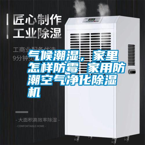 氣候潮濕,家里怎樣防霉 家用防潮空氣凈化除濕機(jī)