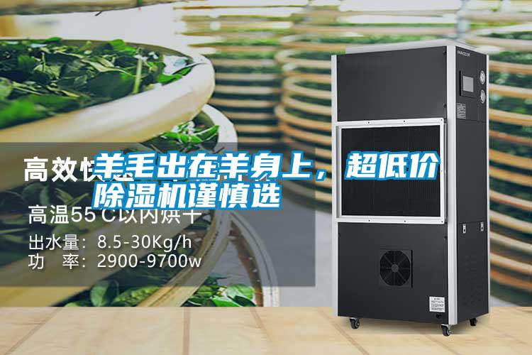 羊毛出在羊身上,超低價除濕機謹慎選
