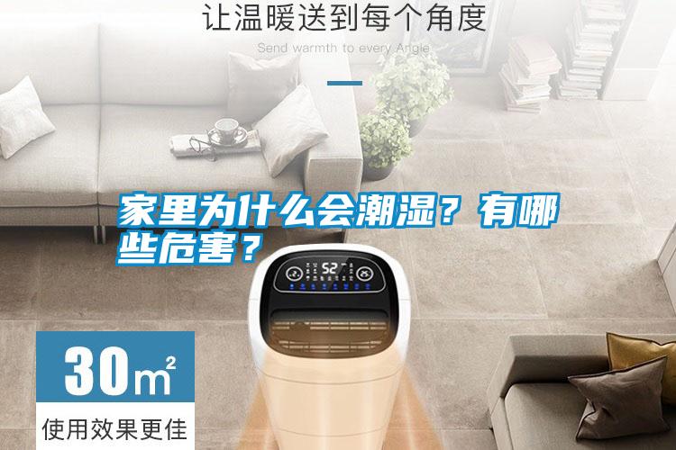 家里為什么會(huì)潮濕？有哪些危害？