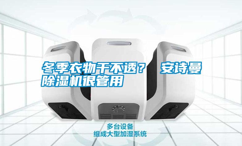 冬季衣物干不透？ 安詩(shī)曼除濕機(jī)很管用