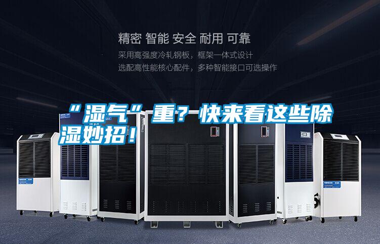 “濕氣”重？快來看這些除濕妙招！