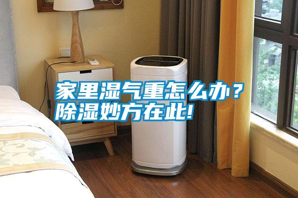 家里濕氣重怎么辦？除濕妙方在此!