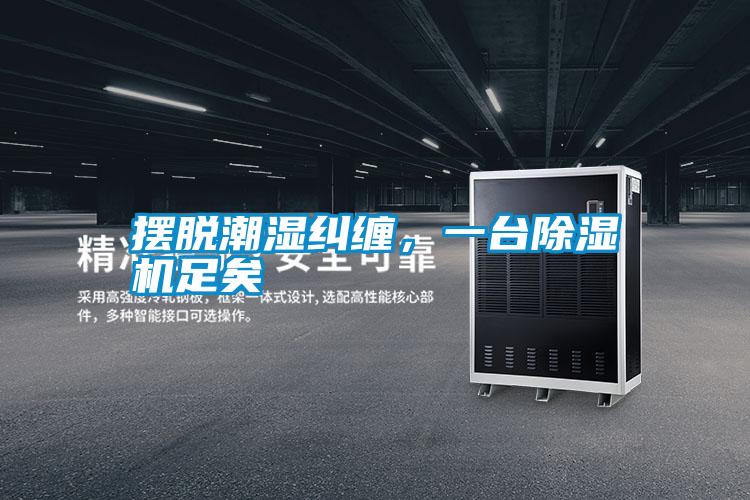 擺脫潮濕糾纏,一臺(tái)除濕機(jī)足矣