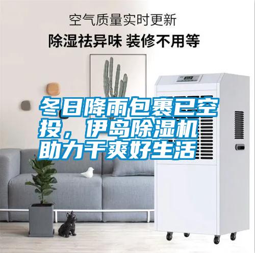 冬日降雨包裹已空投,伊島除濕機(jī)助力干爽好生活