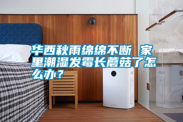 華西秋雨綿綿不斷 家里潮濕發霉長蘑菇了怎么辦？