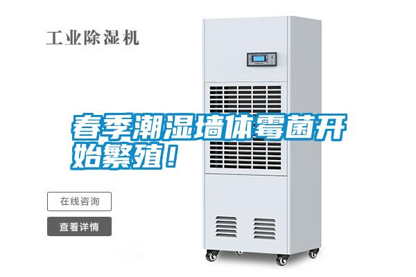 春季潮濕墻體霉菌開始繁殖！