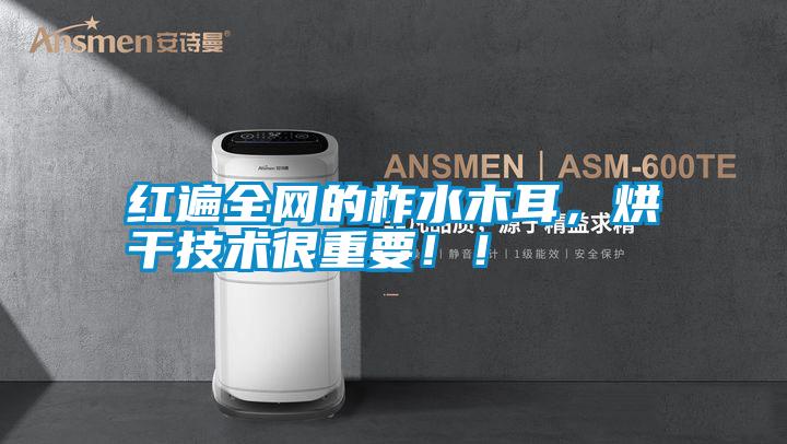 紅遍全網(wǎng)的柞水木耳,烘干技術(shù)很重要!!