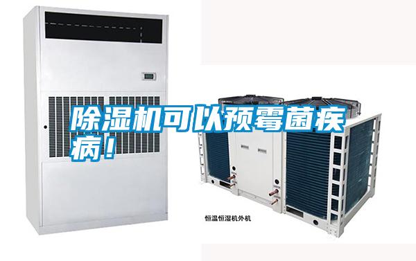 除濕機可以預霉菌疾病！