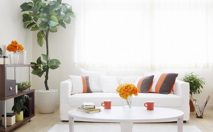 蔬菜加濕器，讓新鮮蔬菜保鮮更省心