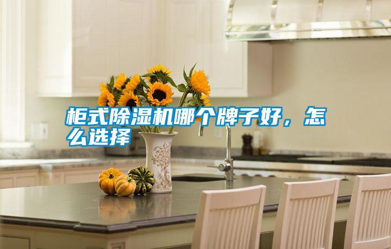 柜式除濕機哪個牌子好，怎么選擇
