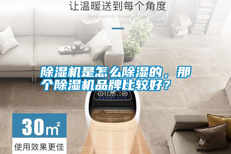 除濕機是怎么除濕的，那個除濕機品牌比較好？