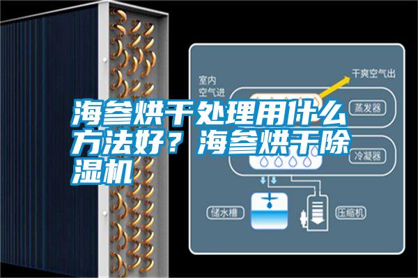 海參烘干處理用什么方法好？海參烘干除濕機(jī)