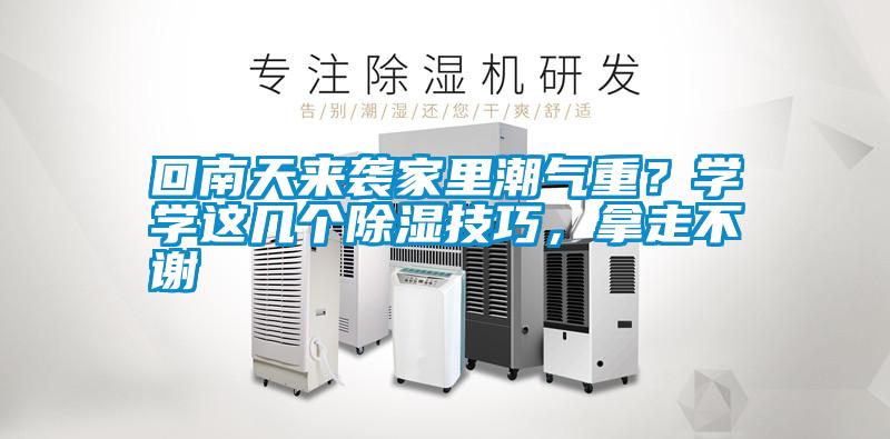 回南天來襲家里潮氣重?學學這幾個除濕技巧,拿走不謝