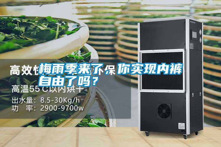 梅雨季來(lái)了,你實(shí)現(xiàn)內(nèi)褲自由了嗎?