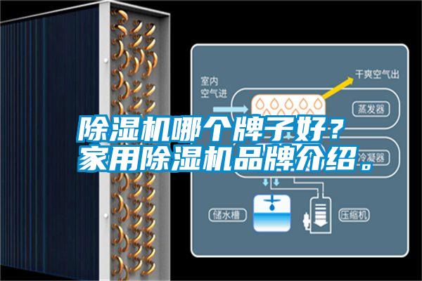 除濕機哪個牌子好？家用除濕機品牌介紹。