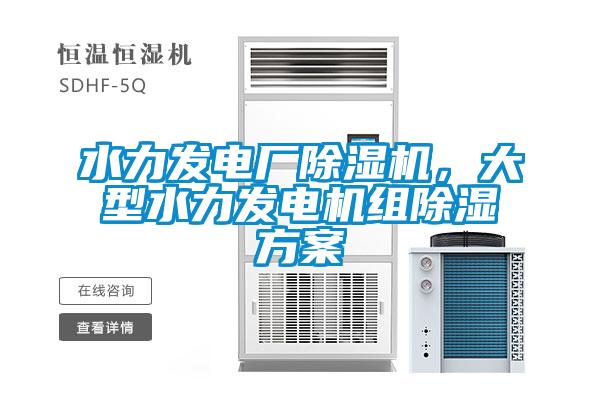 水力發(fā)電廠(chǎng)除濕機(jī)，大型水力發(fā)電機(jī)組除濕方案