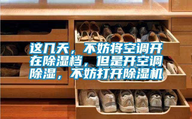 這幾天，不妨將空調開在除濕檔，但是開空調除濕，不妨打開除濕機