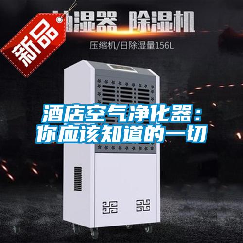 酒店空氣凈化器:你應該知道的一切