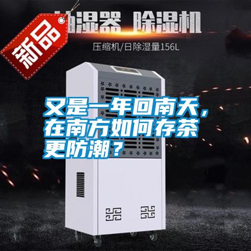 又是一年回南天，在南方如何存茶更防潮？