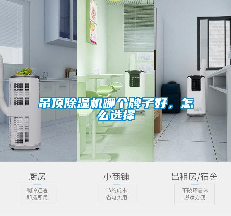 吊頂除濕機(jī)哪個牌子好，怎么選擇