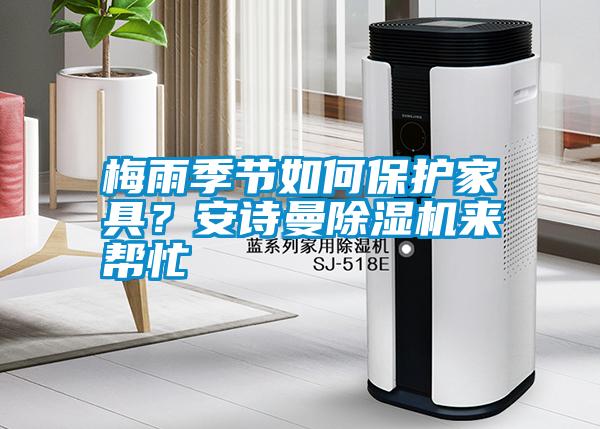 梅雨季節(jié)如何保護(hù)家具？安詩(shī)曼除濕機(jī)來幫忙