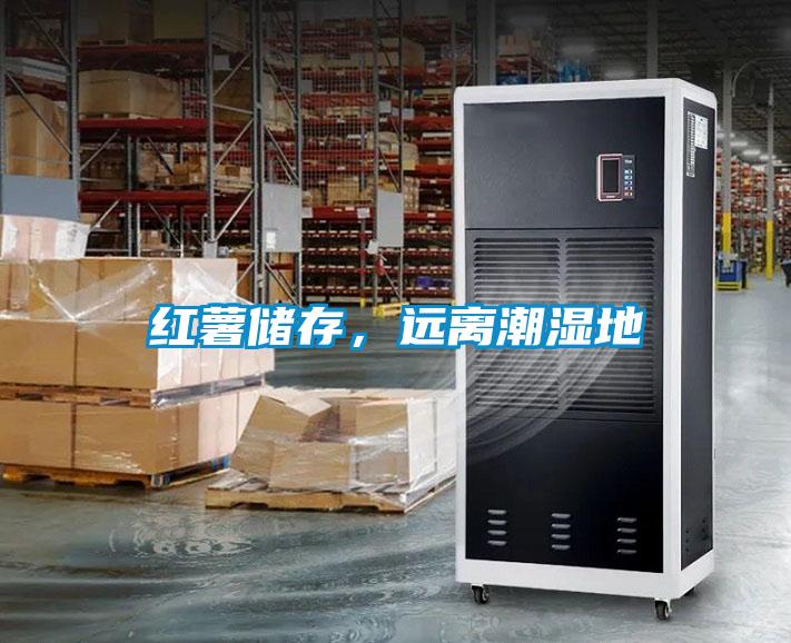 紅薯儲存，遠(yuǎn)離潮濕地