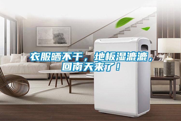衣服曬不干,地板濕漉漉,回南天來了!