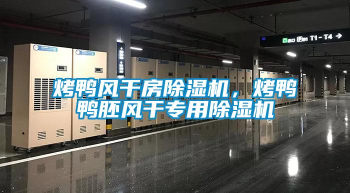 烤鴨風干房除濕機，烤鴨鴨胚風干專用除濕機