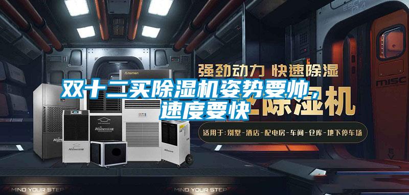 雙十二買(mǎi)除濕機(jī)姿勢(shì)要帥, 速度要快