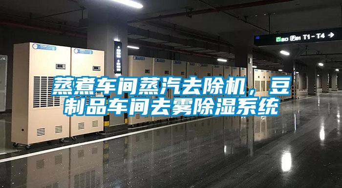 蒸煮車間蒸汽去除機,豆制品車間去霧除濕系統