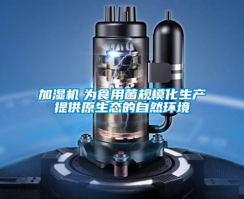 加濕機　為食用菌規?；a提供原生態的自然環境