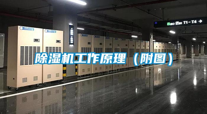 除濕機工作原理(附圖)