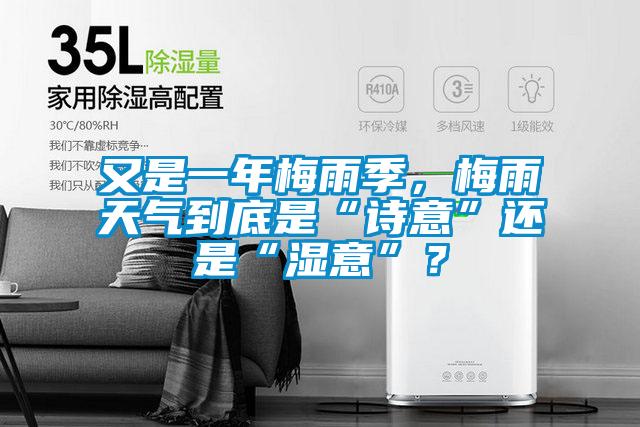 又是一年梅雨季，梅雨天氣到底是“詩意”還是“濕意”？