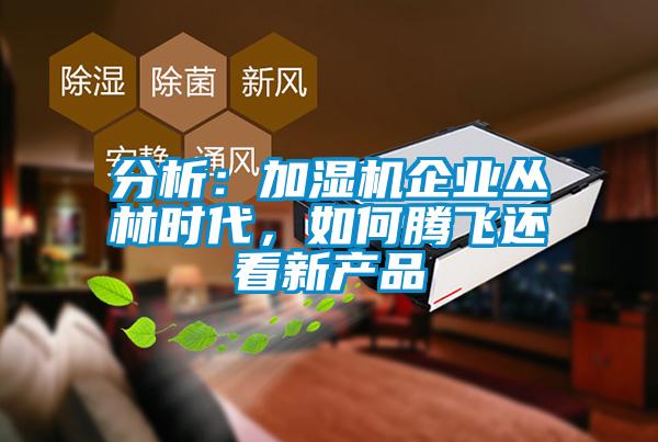 分析：加濕機企業叢林時代，如何騰飛還看新產品